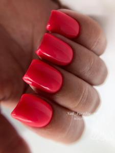 Фотография Nail Paradise 5