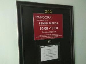 Фотография Pandora 0