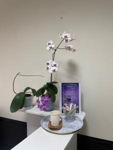 Фотография PROsugar 4